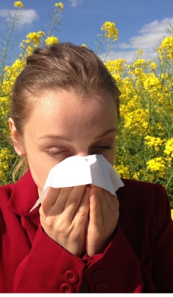Hay fever allergy to pollen